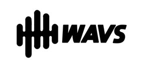 Wavs Custom IEM promo code