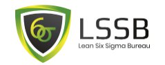 Lean Six Sigma Bureau coupon code