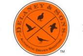 Delaney And Sons coupon code