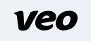 Veo Cam 3 coupon code