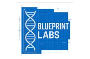 Blueprint Labs coupon code