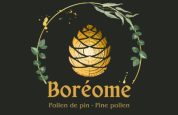 Boreome coupon code