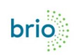 Brio Air Purifier coupon code