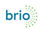 Brio Air Purifier coupon code