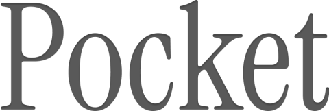 Pocket AI Personal Assistant discount code