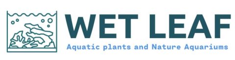 The Wet Leaf coupon code